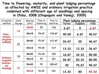 Time to flowering, maturity, and plant lodging percentage  as affected by AWDI and ordinary irrigation practice  combined ...