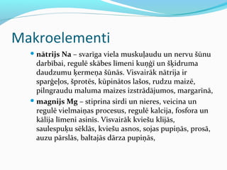 Makroelementi 
nātrijs Na – svarīga viela muskuļaudu un nervu šūnu 
darbībai, regulē skābes līmeni kuņģī un šķidruma 
daudzumu ķermeņa šūnās. Visvairāk nātrija ir 
sparģeļos, šprotēs, kūpinātos lašos, rudzu maizē, 
pilngraudu maluma maizes izstrādājumos, margarīnā, 
magnijs Mg – stiprina sirdi un nieres, veicina un 
regulē vielmaiņas procesus, regulē kalcija, fosfora un 
kālija līmeni asinīs. Visvairāk kviešu klijās, 
saulespuķu sēklās, kviešu asnos, sojas pupiņās, prosā, 
auzu pārslās, baltajās dārza pupiņās, 
 