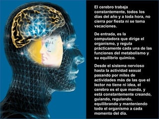 El cerebro trabaja constantemente, todos los días del año y a toda hora, no cierra por fiesta ni se toma vacaciones.  De entrada, es la computadora que dirige el organismo, y regula prácticamente cada una de las funciones del metabolismo y su equilibrio químico.  Desde el sistema nervioso hasta la actividad sexual pasando por miles de actividades más de las que el lector no tiene ni idea, el cerebro es el que manda, y está constantemente creando, guiando, regulando, equilibrando y manteniendo todo el organismo a cada momento del día.  