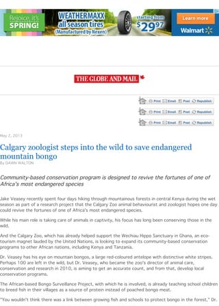 Print Email Post Republish
Print Email Post Republish
Print Email Post Republish
May 2, 2013
Calgary zoologist steps into the wild to save endangered
mountain bongo
By DAWN WALTON
Community-based conservation program is designed to revive the fortunes of one of
Africa's most endangered species
Jake Veasey recently spent four days hiking through mountainous forests in central Kenya during the wet
season as part of a research project that the Calgary Zoo animal behaviourist and zoologist hopes one day
could revive the fortunes of one of Africa's most endangered species.
While his main role is taking care of animals in captivity, his focus has long been conserving those in the
wild.
And the Calgary Zoo, which has already helped support the Wechiau Hippo Sanctuary in Ghana, an eco-
tourism magnet lauded by the United Nations, is looking to expand its community-based conservation
programs to other African nations, including Kenya and Tanzania.
Dr. Veasey has his eye on mountain bongos, a large red-coloured antelope with distinctive white stripes.
Perhaps 100 are left in the wild, but Dr. Veasey, who became the zoo's director of animal care,
conservation and research in 2010, is aiming to get an accurate count, and from that, develop local
conservation programs.
The African-based Bongo Surveillance Project, with which he is involved, is already teaching school children
to breed ﬁsh in their villages as a source of protein instead of poached bongo meat.
"You wouldn't think there was a link between growing ﬁsh and schools to protect bongo in the forest," Dr.
 