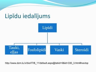 Lipīdu iedalījums 
http://www.dzm.lu.lv/bio/IT/B_11/default.aspx@tabid=9&id=330_3.html#navtop 
 