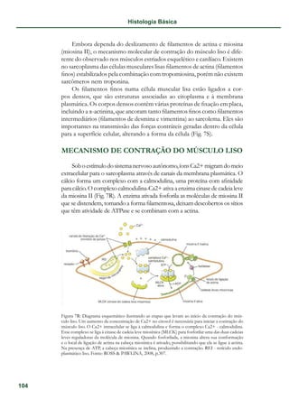 10341628032012Histologia_Basica_Aula_7.pdf