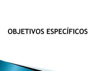 OBJETIVOS ESPECÍFICOS