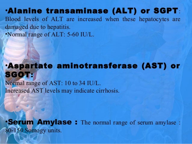What is the normal range for an amylase test?