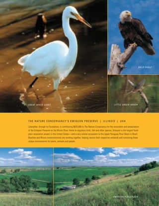 2002 Caterpillar Inc. Annual Report