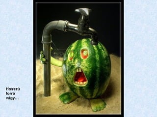 Hosszú forró vágy… 