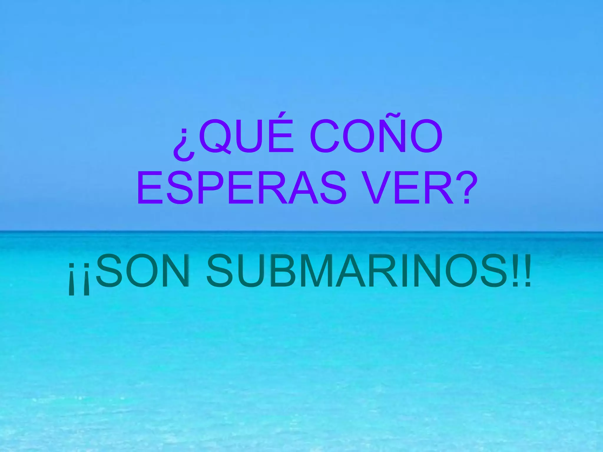 ¿QUÉ COÑO ESPERAS VER? ¡¡SON SUBMARINOS!! 