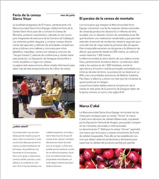 Feria de la cereza                                        mes de junio
Sierra Vicor                                                                  El paraíso de la cereza de montaña
La localidad zaragozana de El Frasno, perteneciente a la                      Los municipios que integran la Mancomunidad Vicor-
Mancomunidad Sierra Vicor-Espigar, celebra la Feria de la                     Espigar concentran una de las mayores ofertas nacionales
Cereza Sierra Vicor para dar a conocer la Cereza de                           de cereza (la producción alcanza los 3 millones de kilos
Montaña, producto característico cultivado en los munici-                     anuales), con un elevado número de variedades (unas 50)
pios integrantes de esta zona de la Comarca de Calatayud.                     que favorecen una maduración escalonada y que permiten
Los visitantes podrán degustar y comprar cerezas directa-                     extender el periodo de recolección desde la segunda quin-
mente del agricultor y disfrutar de actividades complemen-                    cena del mes de mayo hasta los primeros días de agosto.
tarias y lúdicas como talleres y concursos para niños                         Este inmejorable escenario se da gracias a la diferencia de
(plastilina, maquillaje, carrera con cerezas y concurso de                    altitud, que partiendo desde los 500 metros, se cultiva el
“escupir huesos”), además de conferencias y charlas sobre                     cerezo hasta los 1.300 metros.
este producto. La Diputación de Zaragoza acostumbra a                         La Mancomunidad se ubica dentro de una cadena monta-
invitar al público a migas con cerezas.                                       ñosa, perteneciente al sistema ibérico. La extensión dedi-
La página web www.vicora.es ofrece amplia información para                    cada a los cerezos es de 1.000 hectáreas, siendo la
saber más de esta excepcional zona de cultivo de cereza.                      agricultura y el turismo rural las principales actividades eco-
                                                                              nómicas de este territorio. La producción se destina en un
                                                                              80% a las comunidades autónomas de Madrid, Cataluña,
                                                                              País Vasco y Valencia, y ahora con este tipo de iniciativas se
                                                                              quiere potenciar en Aragón.
                                                                              Los primeros datos fiables sobre la introducción de la
                                                                              cereza en esta parte de la provincia de Zaragoza datan de
                                                                              la época romana, en torno a los siglos III-IV.




                                                                              Marca C’alial
                                                                              La Mancomunidad Sierra Vicor-Espigar ha iniciado los trá-
                                                                              mites para conseguir para su cereza “Vicora” la marca
                                                                              C´alial como alimento de calidad diferenciada, impulsado
                                                                              por la Diputación General de Aragón, para poder competir
¿sabía usted?                                                                 en los mercados nacionales e internacionales.
                                                                              La denominación C’ Alial para la cereza “Vicora” supondrá
Las cerezas están muy recomen-          cualidad terapéutica, es la depu-     una marca que reconozca y ampare únicamente los frutos
dadas para las mujeres ya que el        rativa hasta el punto de que 20       de calidad insuperable. Para ello se han establecido nor-
calcio, hierro y la vitamina C, crean   cerezas al día, reducen considera-    mas que deben observar productores y almacenes para
una fórmula ideal para prevenir la      blemente los índices de ácido         supervisar la calidad del producto partida por partida.
anemia y la desmineralización de        úrico en la sangre. La fibra hace
los huesos, dos problemas muy           posible que las cerezas se convier-
frecuentes en la menopausia.            tan en alimentos laxantes y diuré-
Sirve como apoyo a tratamientos         ticos, los bioflavonoides tienen
contra la celulitis, piel seca y acné   propiedades antioxidantes y el
debido a su contenido en caró-          ácido elágico refuerza las propie-
teno. Pero si hay que destacar una      dades protectoras.
 