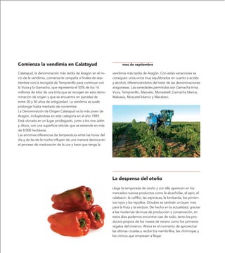 Comienza la vendimia en Calatayud                                      mes de septiembre

Calatayud, la denominación más tardía de Aragón en el ini-      vendimia más tardía de Aragón. Con estas variaciones se
cio de la vendimia, comienza la campaña a finales de sep-       consiguen unos vinos muy equilibrados en cuanto a acidez
tiembre con la recogida de Tempranillo para continuar con       y alcohol, diferenciándolos del resto de las denominaciones
la Viura y la Garnacha, que representa el 50% de los 16         aragonesas. Las variedades permitidas son Garnacha tinta,
millones de kilos de uva tinta que se recogen en esta deno-     Viura, Tempranillo, Mazuelo, Monastrell, Garnacha blanca,
minación de origen y que se encuentra en parcelas de            Malvasía, Moscatel blanco y Macabeo.
entre 30 y 50 años de antigüedad. La vendimia se suele
prolongar hasta mediado de noviembre.
La Denominación de Origen Calatayud es la más joven de
Aragón, incluyéndose en esta categoría en el año 1989.
Está ubicada en un lugar privilegiado, junto a los ríos Jalón
y Jiloca, con una superficie vitícola que se extiende en más
de 8.000 hectáreas.
Las enormes diferencias de temperatura entre las horas del
día y de las de la noche influyen de una manera decisiva en
el proceso de maduración de la uva y hace que tenga la




                                                                La despensa del otoño
                                                                Llega la temporada de otoño y con ella aparecen en los
                                                                mercados nuevos productos como la alcachofas, el apio, el
                                                                calabacín, la coliflor, las espinacas, la lombarda, los pimien-
                                                                tos rojos y los repollos. Octubre es también un buen mes
                                                                para la fruta y la verdura. De hecho en la actualidad, gracias
                                                                a las modernas técnicas de producción y conservación, en
                                                                estos días podemos encontrar casi de todo, tanto los pro-
                                                                ductos propios de los meses de verano como los primeros
                                                                regalos del invierno. Ahora es el momento de aprovechar
                                                                las últimas ciruelas y recibir los membrillos, las chirimoyas y
                                                                los cítricos que empiezan a llegar.
 