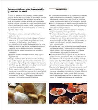 Recomendaciones para la recolección                                     mes de octubre
y consumo de setas
El otoño es la estación micológica por excelencia y los      • El Tricoloma ecuestre (seta de los caballeros), considerada
bosques reciban a un gran número de aficionados atraídos       tradicionalmente como comestible, hay estudios que
por la variedad de setas que se pueden recolectar en           relacionan su consumo con casos clínicos en ocasiones
ellos. No obstante, conviene recordar que casi todas las       graves. (Rabdomiolisis, lesiones en musculatura estriada)
especies fúngicas conocidas en Europa están presentes en     • Hay que ser selectivo, no debiendo recoger setas en can-
los bosques de Aragón. Por ello, desde el Departamento         tidades que no vayamos a consumir, ni recogerlas enveje-
de Salud y Consumo, se recomienda tener en cuenta las          cidas, inmaduras o parasitadas.
siguientes indicaciones:                                     • No guardarlas demasiado tiempo sin consumirlas, la
                                                               mayoría se descomponen rápidamente.
• No se deben consumir setas que no se conozcan              • El consumo de las setas que crecen en cunetas, zonas
  perfectamente.                                               industriales, setos y parques de las ciudades o en suelos
• Ante dudas o desconocimiento de una especie hay que          enriquecidos con abonos químicos, es sumamente peli-
  abstenerse de consumirla y si se recolecta será única-       groso debido a la facilidad que tienen los hongos por su
  mente para su clasificación e identificación.                rápido crecimiento para acumular metales pesados, y
• Una buena forma de resolver dudas es acudir a las socie-     otros contaminantes.
  dades micológicas, que facilitan ayuda y conocimientos     • Comprobar una a una su identidad, porque es frecuente
  científicos para la identificación de los ejemplares.        que especies tóxicas y comestibles muy parecidas com-
• No consumir las setas si previamente han provocado           partan hábitat y época de fructificación. Si no se está
  intolerancia.                                                completamente seguro hay que desecharlas.
• No tomar setas en cantidades excesivas dada su poca        • En caso de intoxicación o sospecha de ésta, acudir a un
  digestibilidad.                                              centro sanitario urgentemente. Allí, a ser posible, se facili-
• Hay que informarse antes de consumir setas crudas ya         tará información de las especies consumidas y se aporta-
  que existen especies que sólo pueden consumirse coci-        rán los restos disponibles de las setas. No olvidar que unos
  nadas, como algunas de gran calidad gastronómica como        tipos dan síntomas precozmente, pero otros provocan los
  Morchella spp. que deben ser cocinadas previamente, eli-     primeros síntomas una vez transcurridos varios días.
  minando el agua sobrante de la cocción.                    • Hay que evitar la elaboración de conservas caseras, por el
• Existen especies como Coprinus atramentarius que no          peligro de botulismo. Si se realizan, son más seguras las
  pueden ser consumidas acompañadas de ninguna bebida          conservas realizadas en medios ácidos (vinagre), debiendo
  alcohólica porque su interacción provoca una reacción        tratarse en autoclave u olla a presión, y siempre extre-
  peligrosa tipo “Antabús”. (Taquicardia, hipertensión,        mando las condiciones higiénicas en el proceso de elabo-
  taquipnea y síntomas de intoxicación enólica)                ración. Lo ideal es calentarlas antes de consumirlas.
 