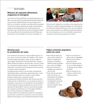 mes de octubre

Muestra de artesanía alimentaria
aragonesa en Zaragoza
Comienzan las Fiestas del Pilar en la capital aragonesa y con
ellas una nueva edición de la Muestra de Artesanía Alimenta-
ria que durante todas las fiestas convierte la plaza de los
Sitios en un suculento mercado al aire libre donde se pueden     Denominación Específica, un producto muy aragonés y afa-
encontrar los mejores alimentos de Aragón y los productos        mado por su calidad y exquisito paladar. Con este objetivo
artesanos más representativos de nuestra gastronomía.            se instalan las Carpas del Ternasco en las que se adereza la
Pastores Grupo Cooperativo aprovecha la explosión festiva        buena mesa a base de muy diferentes propuestas elabora-
y la masiva afluencia de visitantes durante los Pilares para     das con esta sabrosa carne con actividades, espectáculos
promocionar entre el público el Ternasco de Aragón con           musicales y diversión para pequeños y mayores.




Normas para                                                      Falsas creencias populares
la recolección de setas                                          sobre las setas
En la recolección de setas son imprescindibles algunas nor-      • Que todas las setas que       • Que no son tóxicas si su
mas, como no remover el suelo con rastrillos u otros utensi-       crecen sobre madera, en         sabor y olor son agradables
lios para localizar ejemplares ocultos, ya que se altera la        laderas y márgenes de         • Que la cocción elimina
capa vegetal, destruyendo el micelio del hongo. Tampoco            bosques o en prados y           todas las toxinas.
deben dañarse las especies desconocidas o que por tóxicas          dehesas donde el ganado       • Que el ennegrecimiento
no se recolecten porque todas son necesarias para el buen          pace, sean comestibles.         de una cuchara de plata o
desarrollo y conservación de los bosques y forman parte de       • Que sean tóxicas sólo           de dientes de ajo indique
su riqueza, y de su ecosistema.                                    aquellas que cambian de         toxicidad.
Las especies para consumir una vez estén correctamente             color al corte.               • Que la maceración con
identificadas deben recolectarse, mayoritariamente, cortán-      • Que todas las que tienen        vinagre o sal elimine las
dolas por la base del pie con cuchillo o navaja. Deben             anillo son tóxicas. Los         sustancias tóxicas.
extraerse íntegras para su posterior estudio.                      champiñones comestibles,
Es igualmente necesario recolectar sólo las setas cuyo des-        las grandes y deliciosas
arrollo permite su identificación, y no es oportuno extraer ni     macrolepiotas y amanitas
ejemplares muy jóvenes ni los envejecidos. Las de pequeño          comestibles, como la
tamaño seguirán creciendo y además de continuar el ciclo           Amanita caesarea, tienen
reproductivo desarrollarán mejor las características propias       este elemento.
de su especie, permitiendo así una más segura identifica-
ción y menos confusión con especies tóxicas.
El sistema idóneo de transportar las setas es en recipientes
que permitan su protección y aireación, así como la caída al
exterior de las esporas, como la tradicional cesta de mimbre.
 