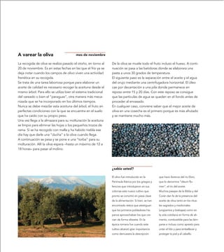 A varear la oliva                       mes de noviembre

La recogida de oliva se realiza pasado el otoño, en torno al    De la oliva se muele todo el fruto incluso el hueso. A conti-
20 de noviembre. Es en estas fechas en las que el frío ya se    nuación se pasa a las batidoras donde se elaborara una
deja notar cuando los campos de olivo viven una actividad       pasta a unos 30 grados de temperatura.
frenética en su recogida.                                       El siguiente paso es la separación entre el aceite y el agua
Se trata de una tarea laboriosa porque para elaborar un         del orujo mediante una centrifugadora horizontal. El óleo
aceite de calidad es necesario recoger la aceituna desde el     cae por decantación a una pila donde permanece en
mismo árbol. Para ello se utiliza bien el sistema tradicional   reposo entre 15 y 20 días. Con este reposo se consigue
del vareado o bien el “paraguas”, otra manera más meca-         que las partículas de agua se queden en el fondo antes de
nizada que se ha incorporado en los últimos tiempos.            proceder al envasado.
Nunca se debe mezclar esta aceituna del árbol, el fruto en      En cualquier caso, conviene saber que el mejor aceite de
perfectas condiciones con la que se encuentra en el suelo       oliva en una cosecha es el primero porque es más afrutado
que ha caído con su propio peso.                                y se mantiene mucho más.
Una vez llega a la almazara para su molturación la aceituna
se limpia para eliminar las hojas o los pequeños trozos de
rama. Si se ha recogido con malla y ha habido niebla ese
día hay que darle una “ducha” a la oliva cuando llega.
A continuación se pesa y se pone e una “torba” para su
molturación. Allí la oliva espera –hasta un máximo de 12 a
18 horas– para pasar al molino.




                                                                ¿sabía usted?

                                                                El olivo fue introducido en la        que hace Avienus del río Ebro,
                                                                Península Ibérica por los griegos y   que lo denomina “oleum flu-
                                                                fenicios que introdujeron en sus      men”, el río del aceite.
                                                                colonias este nuevo cultivo que       Muchos pasajes de la Biblia y del
                                                                pronto se convirtió en pieza clave    Corán dan fe de la presencia del
                                                                de la alimentación. Si bien, se han   aceite de oliva tanto en los ritua-
                                                                encontrado restos que atestiguan      les sagrados y medicinales
                                                                que los primeros pobladores his-      (ungüentos y brebajes) como en
                                                                panos aprovechaban los que cre-       la vida cotidiana en forma de ali-
                                                                cían de forma silvestre. En la        mento, combustible para las lám-
                                                                época romana fue cuando este          paras e incluso como apresto para
                                                                cultivo alcanzó gran importancia      untar el hilo y para embellecer y
                                                                como demuestra la descripción         proteger la piel y el cabello.
 