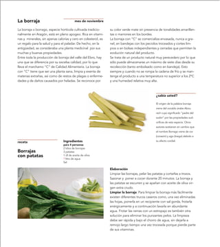 La borraja                               mes de noviembre

La borraja o borrago, especie hortícola cultivada tradicio-     su color verde mate sin presencia de tonalidades amarillen-
nalmente en Aragón, está en pleno apogeo. Rica en vitami-       tas o marrones en los bordes.
nas y minerales, sin apenas calorías y cero en colesterol, es   La borraja con “C” se comercializa envasada, nunca a gra-
un regalo para la salud y para el paladar. De hecho, en la      nel, en bandejas con los peciolos troceados y cortes lim-
antigüedad, se consideraba una planta medicinal por sus         pios o en bolsas independientes y cerradas que permiten la
muchas y buenas propiedades.                                    evolución natural del producto.
Entre toda la producción de borraja del valle del Ebro, hay     Se trata de un producto natural muy perecedero por lo que
una que se diferencia por su excelsa calidad, por lo que        sólo puede almacenarse un máximo de siete días desde su
lleva el marchamo “C” de Calidad Alimentaria. La borraja        recolección (tanto embolsado como en bandeja). Esto
con “C” tiene que ser una planta sana, limpia y exenta de       siempre y cuando no se rompa la cadena de frío y se man-
materias extrañas, así como de restos de plagas o enferme-      tenga el producto a una temperatura no superior a los 2ºC
dades y de daños causados por heladas. Se reconoce por          y una humedad relativa muy alta.



                                                                                                ¿sabía usted?

                                                                                                El origen de la palabra borraja
                                                                                                viene del vocablo árabe Abou
                                                                                                rach cuyo significado “padre del
                                                                                                sudor” por las propiedades sud-
                                                                                                oríficas de esta especie. Otros
                                                                                                autores sostienen en cambio que
                                                                                                el nombre Borrago viene de cor
                                                                                                (corazón) y ago (traigo) debido a

receta                          Ingredientes                                                    su efecto cordial.
                                para 4 personas
                                2 kilos de borrajas
Borrajas                        3 patatas
con patatas                     1 dl de aceite de oliva
                                ? litro de agua
                                Sal

                                                                Elaboración
                                                                Limpiar las borrajas, pelar las patatas y cortarlas a trozos.
                                                                Sazonar y poner a cocer durante 20 minutos. La borraja y
                                                                las patatas se escurren y se apañan con aceite de oliva vir-
                                                                gen extra crudo.
                                                                Limpiar la borraja: Para limpiar la borraja más fácilmente
                                                                existen diferentes trucos caseros como, una vez eliminadas
                                                                las hojas, ponerla en un recipiente con sal gorda, frotarla
                                                                enérgicamente y a continuación lavarla en abundante
                                                                agua. Frotar las ramas con un estropajo es también otra
                                                                solución para eliminar los punzantes pelos. La limpieza
                                                                debe ser rápida y bajo el chorro de agua, sin dejarla a
                                                                remojo largo tiempo una vez troceada porque pierde parte
                                                                de sus vitaminas.
 