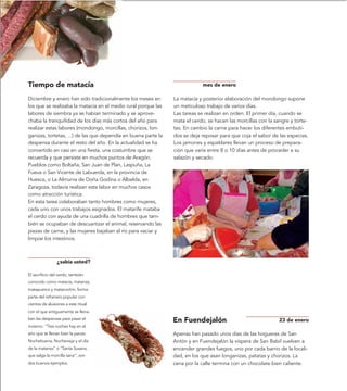 Tiempo de matacía                                                           mes de enero

Diciembre y enero han sido tradicionalmente los meses en        La matacía y posterior elaboración del mondongo supone
los que se realizaba la matacía en el medio rural porque las    un meticuloso trabajo de varios días.
labores de siembra ya se habían terminado y se aprove-          Las tareas se realizan en orden. El primer día, cuando se
chaba la tranquilidad de los días más cortos del año para       mata el cerdo, se hacen las morcillas con la sangre y torte-
realizar estas labores (mondongo, morcillas, chorizos, lon-     tas. En cambio la carne para hacer los diferentes embuti-
ganizas, tortetas, ...) de las que dependía en buena parte la   dos se deja reposar para que coja el sabor de las especias.
despensa durante el resto del año. En la actualidad se ha       Los jamones y espaldares llevan un proceso de prepara-
convertido en casi en una fiesta, una costumbre que se          ción que varía entre 8 o 10 días antes de proceder a su
recuerda y que persiste en muchos puntos de Aragón.             salazón y secado.
Pueblos como Boltaña, San Juan de Plan, Laspuña, La
Fueva o San Vicente de Labuerda, en la provincia de
Huesca, o La Almunia de Doña Godina o Albelda, en
Zaragoza, todavía realizan esta labor en muchos casos
como atracción turística.
En esta tarea colaboraban tanto hombres como mujeres,
cada uno con unos trabajos asignados. El matarife mataba
el cerdo con ayuda de una cuadrilla de hombres que tam-
bién se ocupaban de descuartizar el animal, reservando las
piezas de carne, y las mujeres bajaban al río para vaciar y
limpiar los intestinos.



                ¿sabía usted?

El sacrificio del cerdo, también
conocido como matacía, matanza,
matapuerco y matacochín, forma
parte del refranero popular con
cientos de alusiones a este ritual
con el que antiguamente se llena-
ban las despensas para pasar el
                                                                En Fuendejalón                                 23 de enero
invierno. “Tres noches hay en el
año que te llenan bien la panza:                                Apenas han pasado unos días de las hogueras de San
Nochebuena, Nochevieja y el día                                 Antón y en Fuendejalón la víspera de San Babil vuelven a
de la matanza” o “Santa Susana,                                 encender grandes fuegos, uno por cada barrio de la locali-
que salga la morcilla sana”, son                                dad, en los que asan longanizas, patatas y chorizos. La
dos buenos ejemplos.                                            cena por la calle termina con un chocolate bien caliente.
 