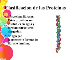 Clasificacion de las Proteinas
•   Proteinas fibrosas:
Estas proteinas son
insolubles en agua y
forman estructuras
alargadas.
• Se agregan
fuertemente formando
fibras o laminas.
 