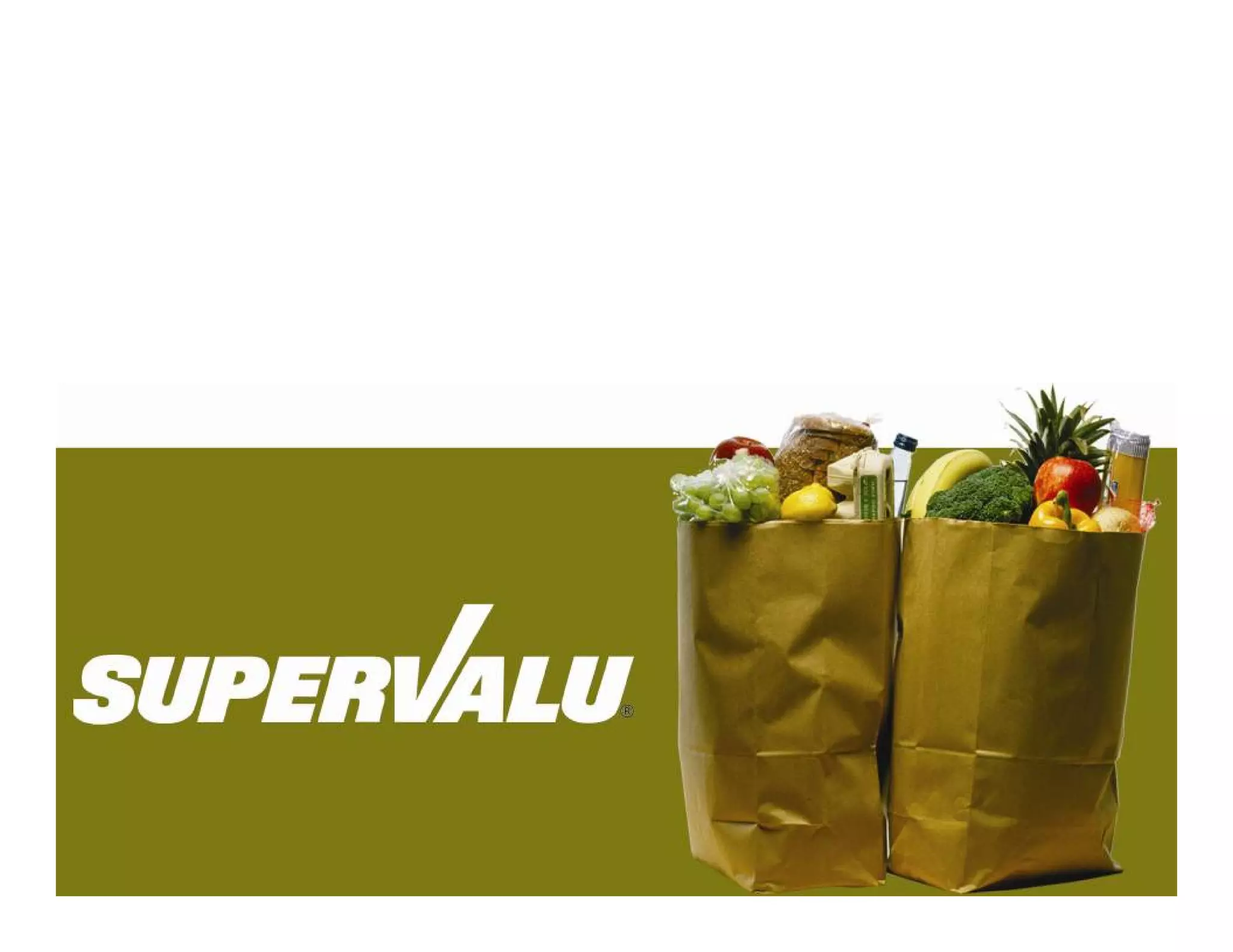 Investor Conference 2008