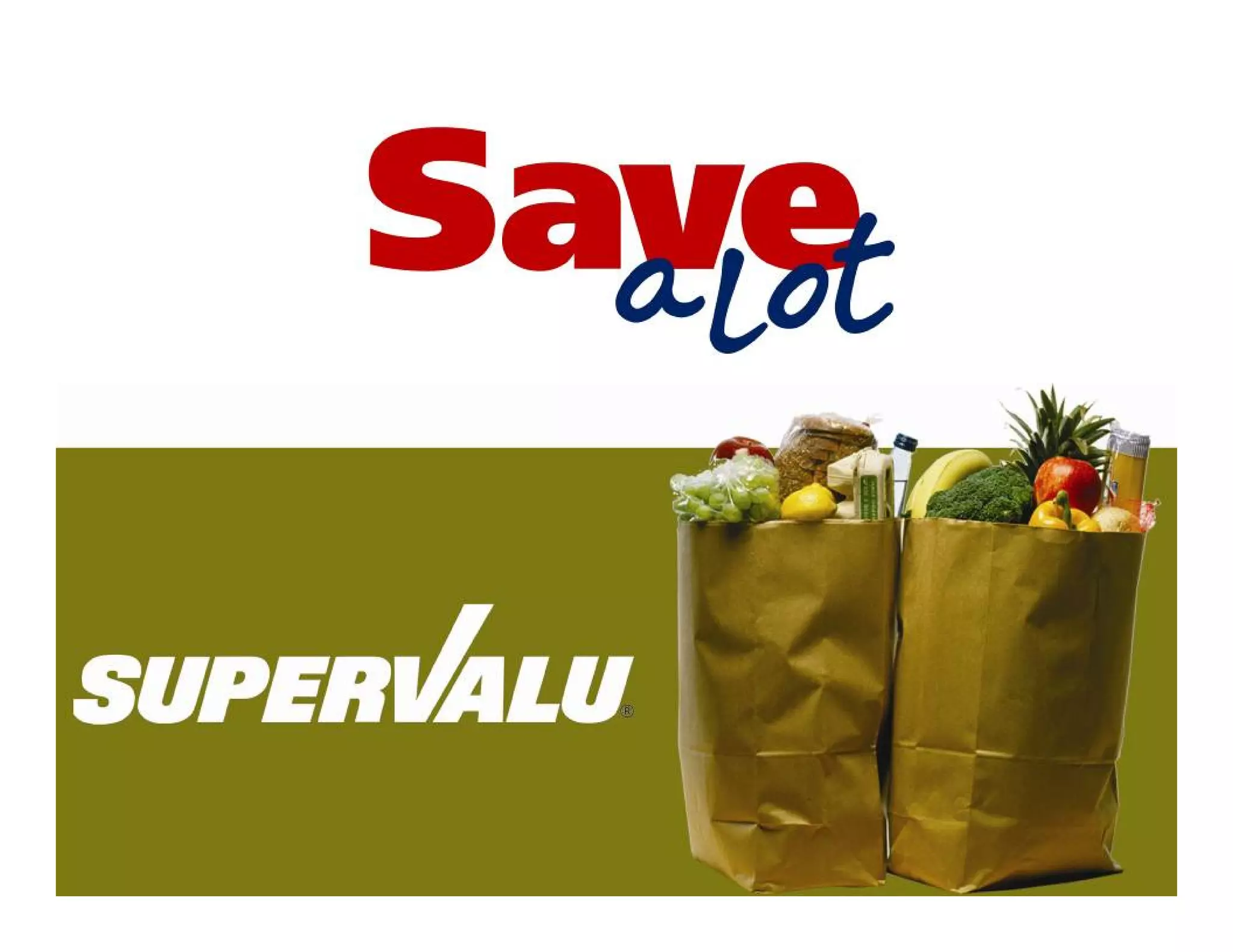 Investor Conference 2008