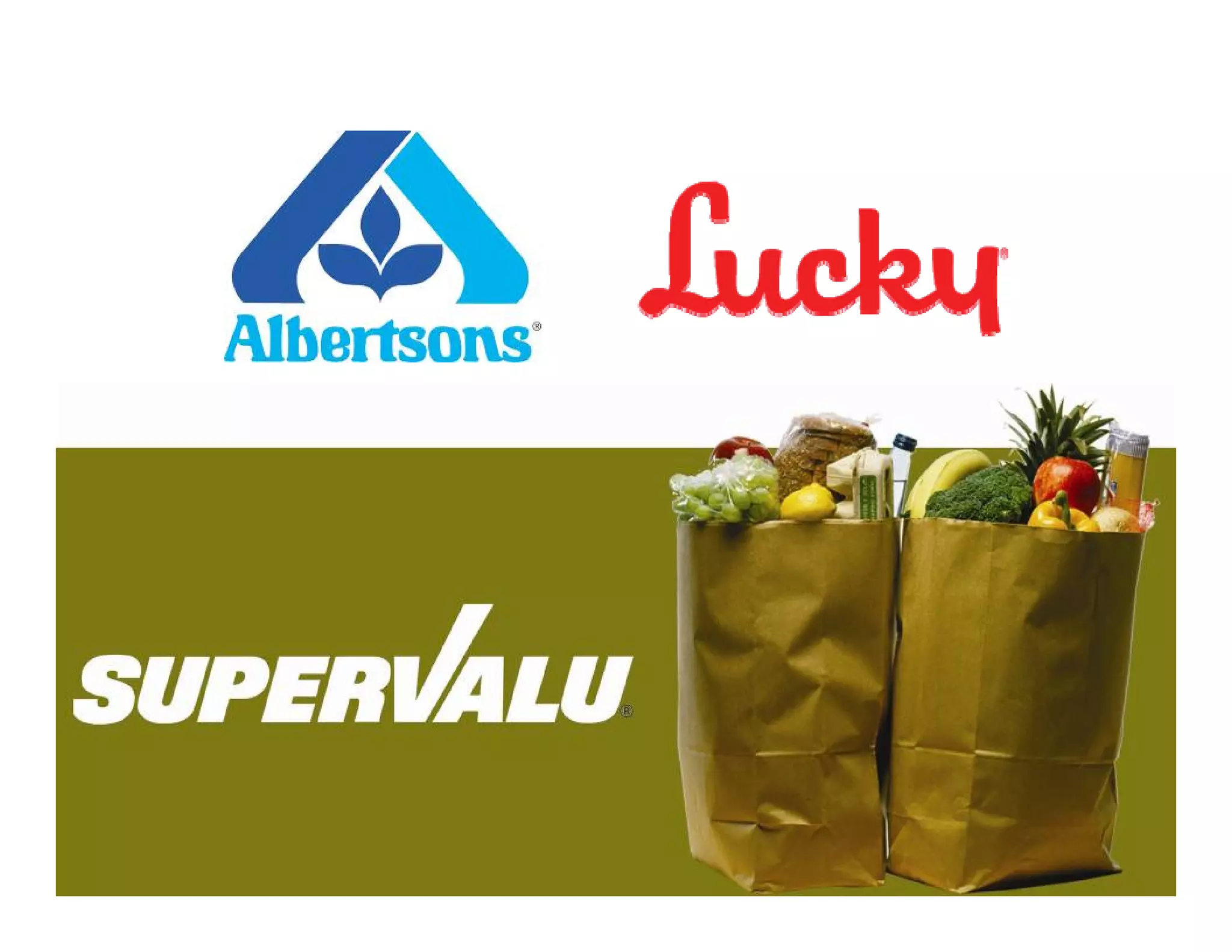 Investor Conference 2008