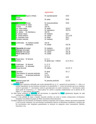 segmentaria
Hombro Supra e infraes N. supraescapular C4,5
pinoso
Deltoides N. axilar C5,6
Antebrazo Bíceps N. musculocutáneo C5,6
Braquiorradial N. radial C5,6
Tríceps N. radial C6,7,8
Ext. carpo radial N. radial C5.6,7
Ext. carpo cubital N. interóseo p. C6,7,8
Ext. dedos N. interóseo p. C6,7,8
M. palmar mayor N. mediano C6,7
M. cubital anterior N. cubital C7, 8, DI
M. supinador corto N. radial C6,7
Pronador redondo N. mediano C6,7
Mano Lumbricales N. mediano-cubital C8, DI
Interóseos N. cubital C8, DI
Pulgar Oponente del pulgar N. mediano C8, Dl
Extensor del pulgar N. interóseo p. C7, 8
Adductor del pulgar N. cubital C8, DI
Flexor corto del pul N. cubital C8, DI
gar
Pelvis Psoas ilíaco N. femoral Ll, 2, 3
Glúteos N. glúteo sup. + inferior L4, 5, SI, 2
Muslo Cuádriceps N. femoral L1, 2, 3
Adductores N. obturador L2, 3, 4
Bíceps femoral N. ciático L5, S1, 2
Pierna Gemelos N. tibial S1, 2
Tibial anterior N. peroneo profundo L4,5
Peroneos N. peroneo profundo L5, S1
Tibial posterior N. tibial L4,5
Pie Extensor propio del N. peroneo profundo L5, S1
dedo gordo
La FUERZA debe registrarse utilizando una escala reproducible (p. ej., 0 = ausencia de movimiento; 1 = vibra o se
contrae ligeramente sin movimientos asociados en la articulación; 2 = existe movimiento que no se mantiene
contra la gravedad; 3 = movimiento contra la gravedad pero no contra resistencia; 4 = movimiento contra
algún grado de resistencia, y 5 = fuerza plena; los valores se pueden complementar con la adición de los
signos + y—para indicar otros grados.
Se debe anotar asimismo la velocidad del movimiento, la capacidad de relajar rápidamente después de cada
contracción y la fatiga en las repeticiones.
Examine si hay pérdida de masa y tamaño muscular (atrofia), así como si existen contracciones involuntarias
irregulares (sacudidas) de grupos de fibras musculares (fasciculaciones).
Se deben explorar los movimientos involuntarios mientras el paciente está en reposo, durante una postura mantenida
y con la acción voluntaria. Los movimientos involuntarios rítmicos se denominan «temblores», mientras que
los movimientos más irregulares generalmente se incluyen en categorías como coreoatetosis, balismo,
mioclonía o tics.
 