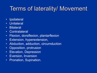 Human Anatomy | PPT