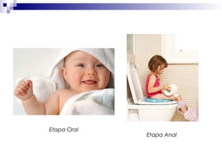 Etapa Oral
Etapa Anal
 
