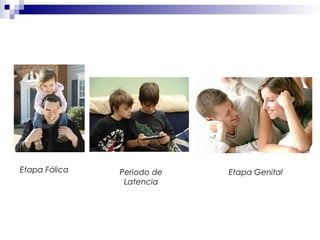 Etapa Fálica Periodo de
Latencia
Etapa Genital
 