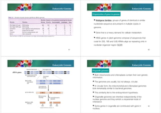 Eukaryotic Genome

Eukaryotic Genome
Organization of genes in genome
 Multigene families: groups of genes of identical or similar
nucleotide sequence and present in multiple copies in
genome.
 Gene that is a heavy demand for cellular metabolism.
 rRNA genes in plant genome compose of sequences that
code for 25S, 18S and 5.8S rRNAs align as repeating units in
nucleolar organizer region (NOR)

41

42

Eukaryotic Genome

Eukaryotic Genome
Organelle genomes

rRNA genes

43

 Both mitochondria and chloroplasts contain their own genetic
information.
 The genomes are usually, but not always, circular.
 In circular form, the mitochondrial and chloroplast genomes
look remarkably similar to bacterial genomes.
 This similarity led to the endosymbiont hypothesis.
 Organelle genomes are inherited independently of the
nuclear genome and they exhibit a uniparental mode of
inheriance
44
 Some genes in organelle are contributed with gene in
nucleus.

 