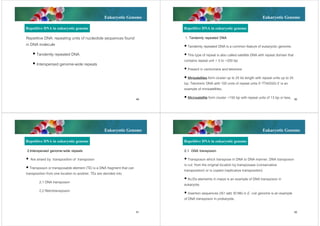 Eukaryotic Genome

Eukaryotic Genome

Repetitive DNA in eukaryotic genome

Repetitive DNA in eukaryotic genome

Repetitive DNA: repeating units of nucleotide sequences found
in DNA molecule

1. Tandemly repeated DNA
 Tandemly repeated DNA is a common feature of eukaryotic genome.

 Tandemly repeated DNA

 This type of repeat is also called satellite DNA with repeat domain that
contains repeat unit < 5 to >200 bp

 Interspersed genome-wide repeats

 Present in centromere and telomere
 Minisatellites form cluster up to 20 kb length with repeat units up to 25
bp. Telomeric DNA with 100 units of repeat units 5’-TTAGGG-3’ is an
example of minisatellites.
49

 Microsatellite form cluster <150 bp with repeat units of 13 bp or less.

Eukaryotic Genome

50

Eukaryotic Genome

Repetitive DNA in eukaryotic genome

Repetitive DNA in eukaryotic genome

2.Interspersed genome-wide repeats

2.1 DNA transposon

 Are arised by transposition of transposon

 Transposon which transpose in DNA to DNA manner. DNA transposon
is cut from the original location by transposase (conservative
transposition) or is copied (replicative transposition)

 Transposon or transposable element (TE) is a DNA fragment that can
transposition from one location to another. TEs are devided into

 Ac/Ds elememts in maize is an example of DNA transposon in
eukaryote.

2.1 DNA transposon
2.2 Retrotransposon

 Insertion sequences (IS1 และ IS186) in E. coli genome is an example
of DNA transposon in prokaryote.
51

52

 
