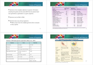Genome of Organisms

Genome of Organisms

 Genome is the complete collection of genetic information,
including the genes and the extra DNA that are passed down
from generation to generation in a given organism.
 Genome can be DNA or RNA.
 Genome sizes vary among organisms
 RNA viruses have the smallest genome which compose
of only 3 genes
5

Genome of Organisms

6

Prokaryote and Eukaryote

Diversity of DNA-based genome organization (Allison et al., 2007)
Genome

Form

Size (Kb)

Eukaryotes

ds linear

104-106

Bacteria

ds circular

103

Plasmid

ds circular (some ds linear)

2-15

Mammalian DNA viruses

3-280

Bacteriophage

ss linear, ds linear, ds
circular
ss circular, ds linear

Chloroplast DNA

ds circular

120-160

Mitochondrial DNA

ds circular (some ds linear)

Animals: 16.5
Plants: 100-2500

~50

7

8

 