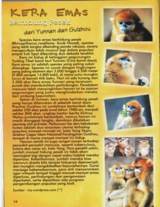 Kerlap Kerlip 103 : Amnesia 