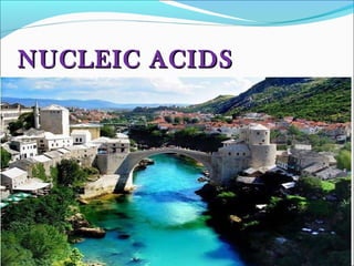 NNUUCCLLEEIICC AACCIIDDSS 
 