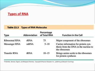 Types of RNA 
 