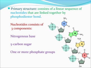 Primary structure: consists of a linear sequence of 
nucleotides that are linked together by 
phosphodiester bond. 
Nucleotides consists of 
3 components: 
Nitrogenous base 
5-carbon sugar 
One or more phosphate groups 
 