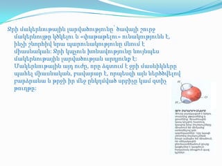 Ջրի մակերևութային լարվածությունը՝ ծավալի շուրջ
  մակերևույթը կծկելու և «փաթաթելու» ունակությունն է,
  ինչի շնորհիվ նրա պարունակությունը մնում է
  միասնական: Ջրի կպչուն խոնավությունը նույնպես
  մակերևութային լարվածության արդյունք է:
  Մակերևութային այդ ուժը, որը ձգտում է ջրի մասնիկները
  պահել միասնական, բավարար է, որպեսզի այն ներծծվելով
  բարձրանա և թրջի իր մեջ ընկղմված սրբիչը կամ զտիչ
  թուղթը:
 