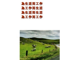 為生活而工作為生活而工作
為工作而生活為工作而生活
為生活而生活為生活而生活
為工作而工作為工作而工作
 