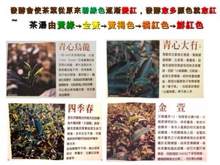 發酵會使茶葉從原來發酵會使茶葉從原來碧綠色碧綠色逐漸逐漸變紅變紅，發酵，發酵愈多愈多顏色就顏色就愈紅愈紅
～～
茶湯茶湯由由黃綠黃綠→→金黃金黃→→黃褐色黃褐色→→橘紅色橘紅色→→鮮紅色鮮紅色
 