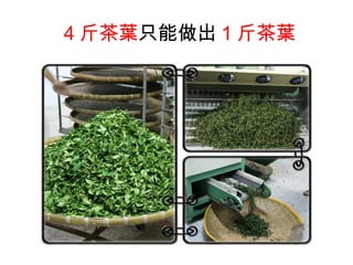 4 斤茶葉只能做出 1 斤茶葉
 
