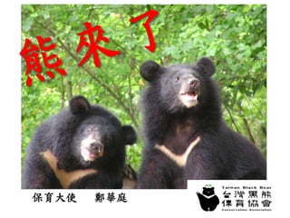 1
漫步在森林裡的台灣黑熊
保育大使 鄭華庭
 