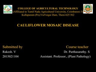 COLLEGE OF AGRICULTURAL TECHNOLOGY
(Affiliated to Tamil Nadu Agricultural University, Coimbatore-3)
Kullapuram (Po),ViaVaigai Dam, Theni-625 562
CAULIFLOWER MOSAIC DISEASE
Submitted by Course teacher
Rakesh. V Dr. Parthasarathy. S
2015021104 Assistant. Professor., (Plant Pathology)
 