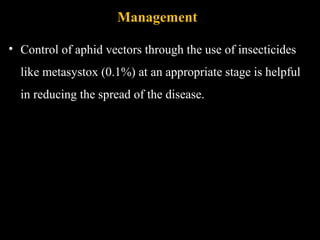 Management
• Control of aphid vectors through the use of insecticides
like metasystox (0.1%) at an appropriate stage is helpful
in reducing the spread of the disease.
 