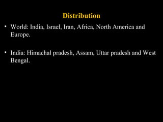 Distribution
• World: India, Israel, Iran, Africa, North America and
Europe.
• India: Himachal pradesh, Assam, Uttar pradesh and West
Bengal.
 