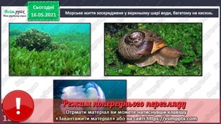 3 клас. НУШ. Ядс. Андрусенко. Урок 104