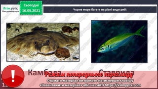 3 клас. НУШ. Ядс. Андрусенко. Урок 104