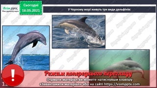3 клас. НУШ. Ядс. Андрусенко. Урок 104