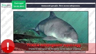 3 клас. НУШ. Ядс. Андрусенко. Урок 104