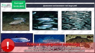 3 клас. НУШ. Ядс. Андрусенко. Урок 104