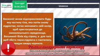 3 клас. НУШ. Ядс. Андрусенко. Урок 104