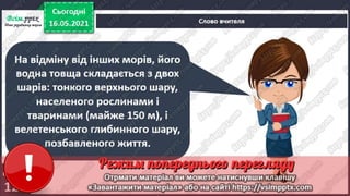 3 клас. НУШ. Ядс. Андрусенко. Урок 104