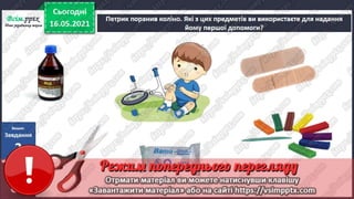 2 клас. НУШ. Ядс. Грущинська. Урок 104