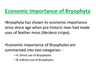 Economic Importance of Bryophyta
•Bryophyta has shown its economic importance
since stone age when pre-historic man had made
uses of feather moss (Neckera crispa).
•Economic importance of Bryophytes are
summarized into two categories: -
• A. Direct use of Bryophytes.
• B. Indirect use of Bryophytes.
 